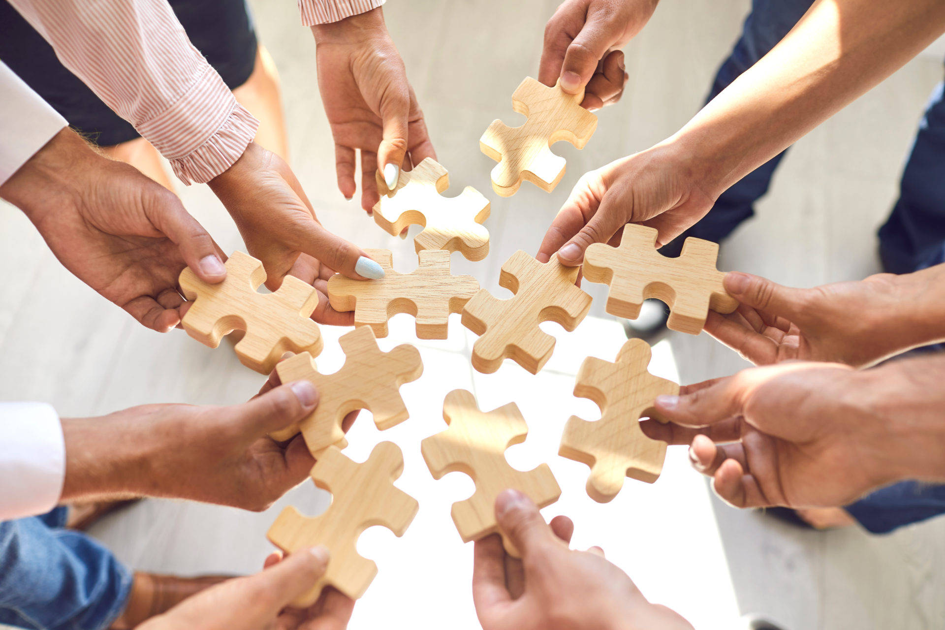 种梦传媒